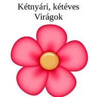 Kétnyári, kétéves virágok 