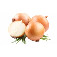 Hagymafélék 