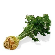 Zeller
