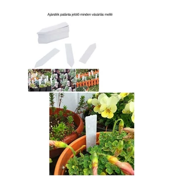 (1) 1 Ft felett ajándék jelölő minden csomag mag mellé  (1) 1 Ft felett ajándék jelölő minden csomag mag mellé