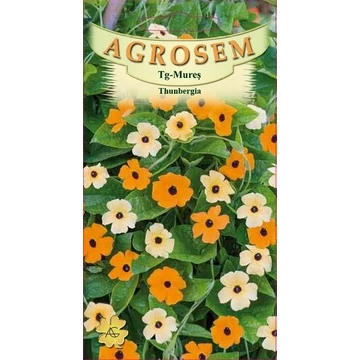 Feketeszem színkeverék  Feketeszem színkeverék