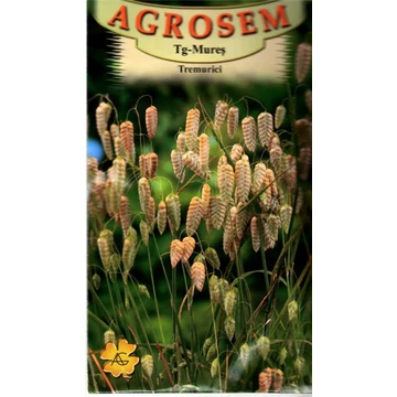 Nagy rezgőfű Nagy rezgőfű