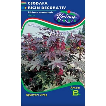 Ricinus ( csodafa) "KM"