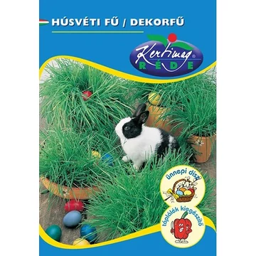 Húsvéti fű ( Őszi búza)  AKCIÓS !! Húsvéti fű ( Őszi búza)  AKCIÓS !!