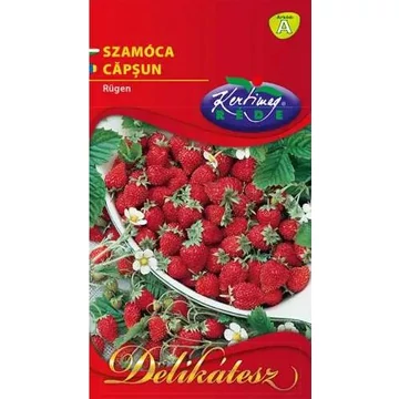 Szamóca Rügen  "KM"