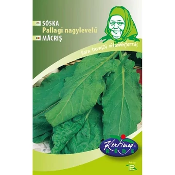 Sóska Pallagi nagy levelű