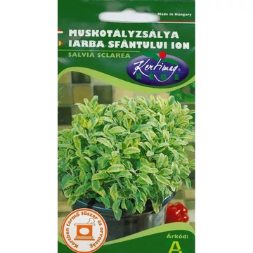 Muskotályzsálya Muskotályzsálya