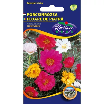Porcsinrózsa féltelt virágú színkeverék  "KM"
