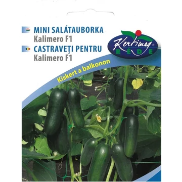 Mini salátauborka ( VárosiKertész) "KM"