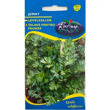 Levélzeller Jemny "KM"