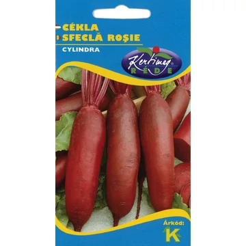 Cékla Cylindra Cékla Cylindra