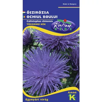 Őszirózsa tűszírmú  kék Őszirózsa tűszírmú  kék