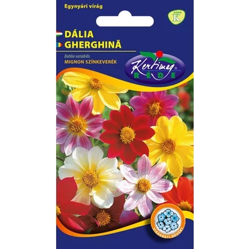 Dália színkeverék Mignon "KM"