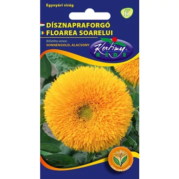 Dísznapraforgó Sonnengold alacsony Dísznapraforgó Sonnengold alacsony