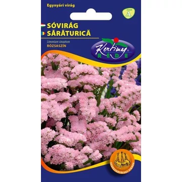 Sóvirág rózsaszin  Sóvirág rózsaszin