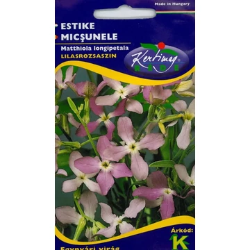 Hölgyestike (Matthiola longipetala)  "KM"
