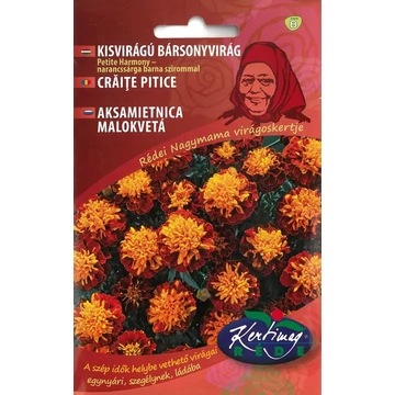 Bársonyvirág kisvirágú ( Nagymama virágoskertje ) Bársonyvirág kisvirágú ( Nagymama virágoskertje )