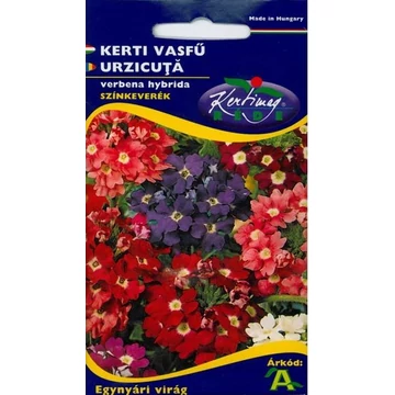 Kerti vasfű ( Verbena) "KM"