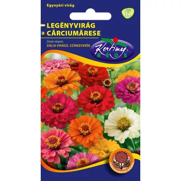 Legényvirág ( Rézvirág )Dália virágú szinkeverék "KM"