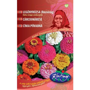 Legényrózsa ( Rézvirág ) Nagymama virágoskertje  "KM"