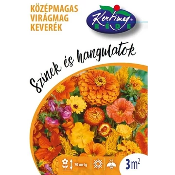 Színek és Hangulatok Középmagas virág keverék Színek és Hangulatok Középmagas virág keverék