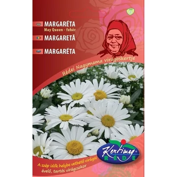 Margaréta fehér  ( Margitvirág)  My Queen ( Nagymama virágoskertje )  Margaréta fehér  ( Margitvirág)  My Queen ( Nagymama virágoskertje )