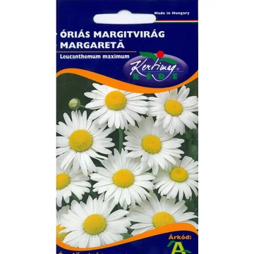 Óriás margitvirág ( Margaréta)  Óriás margitvirág ( Margaréta)