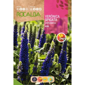 Macsafaekú veronika 