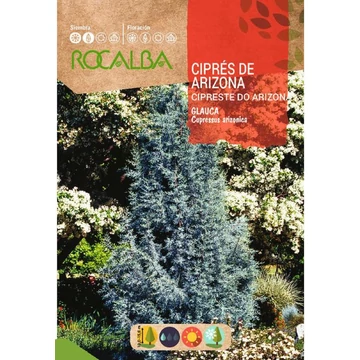 Ezüstös Arizóniai ciprus "R"