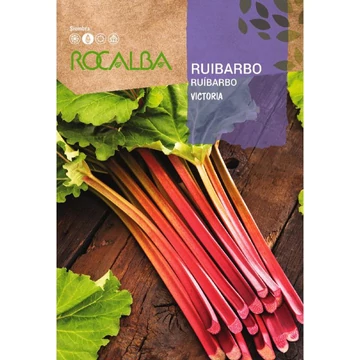 Rebarbara Victoria R  Rebarbara Victoria R