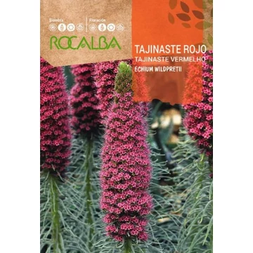 Kígyószisz (Echium)