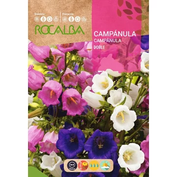Bögrevilág (Campánula ) (Csupros harangvirág) Bögrevilág (Campánula ) (Csupros harangvirág)