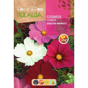Pillangóvirág Cosmos " Sensation Mammuth " Pillangóvirág Cosmos " Sensation Mammuth "
