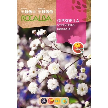 Évelő Fátyolvirág fehér  "R"