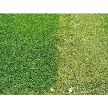 Fehérhere Pipolina -100g "R"