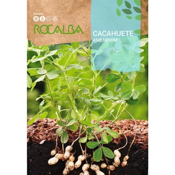 Földimogyoró (Arachis hypogaea) Földimogyoró (Arachis hypogaea)