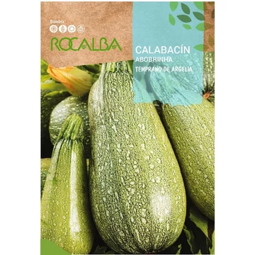 Cukkini  Temprano de Argelia Cukkini  Temprano de Argelia