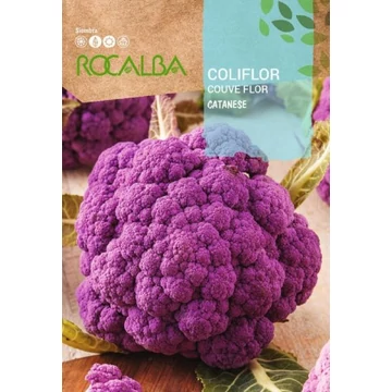 Karfiol Catanese ( lila) Karfiol Catanese ( lila)