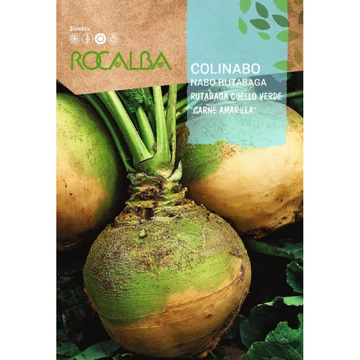 Rutabaga (Brassica oleracea var. gongylodes) Karórépa  Rutabaga (Brassica oleracea var. gongylodes) Karórépa