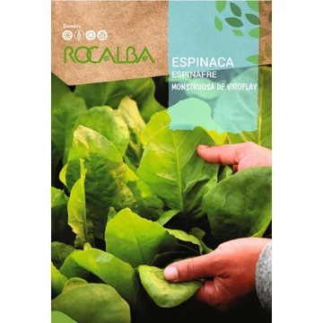 Rocalba spenót kép  Rocalba spenót kép