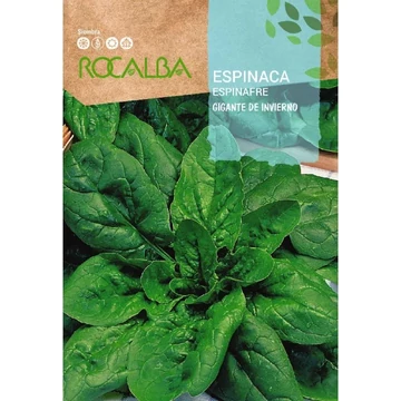Rocalba spenót kép  Rocalba spenót kép