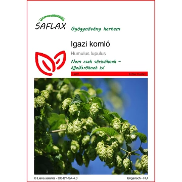 Komló Saflax vetőmag csomagolásának eleje 