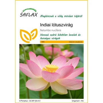 Indiai Lótuszvirág Saflax  vetőmag csomagolásának eleje 