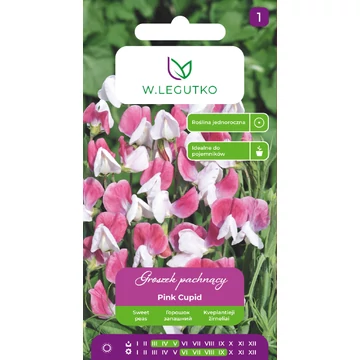 Szagos bükköny Pink-fehér  W.L