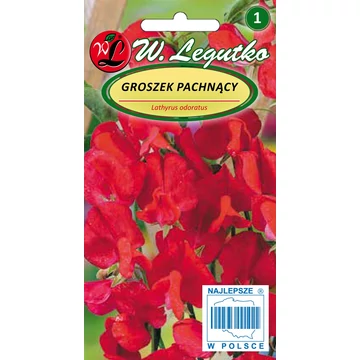 Szagos bükköny piros W.L