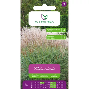 Japánfű (Miscanthus sinensis) W.L