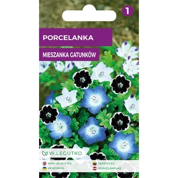 Ötpettyes virág  W.L