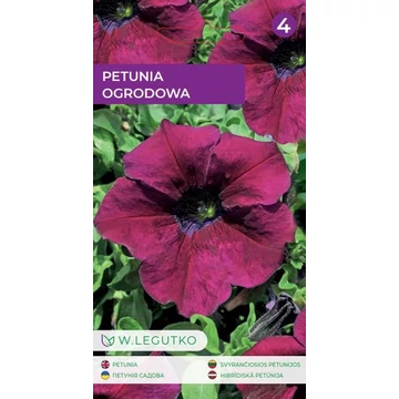 Petunia cseresznyeszínű W.L