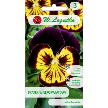 Árvácska lila sárga szemmel  W.L