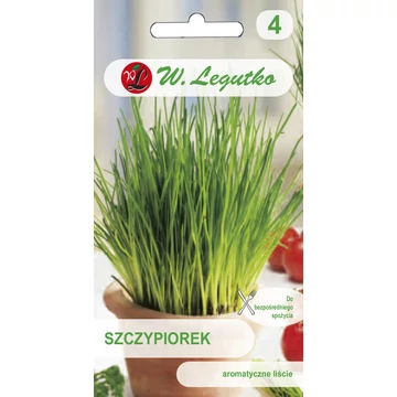 Metélőhagyma mag eleje